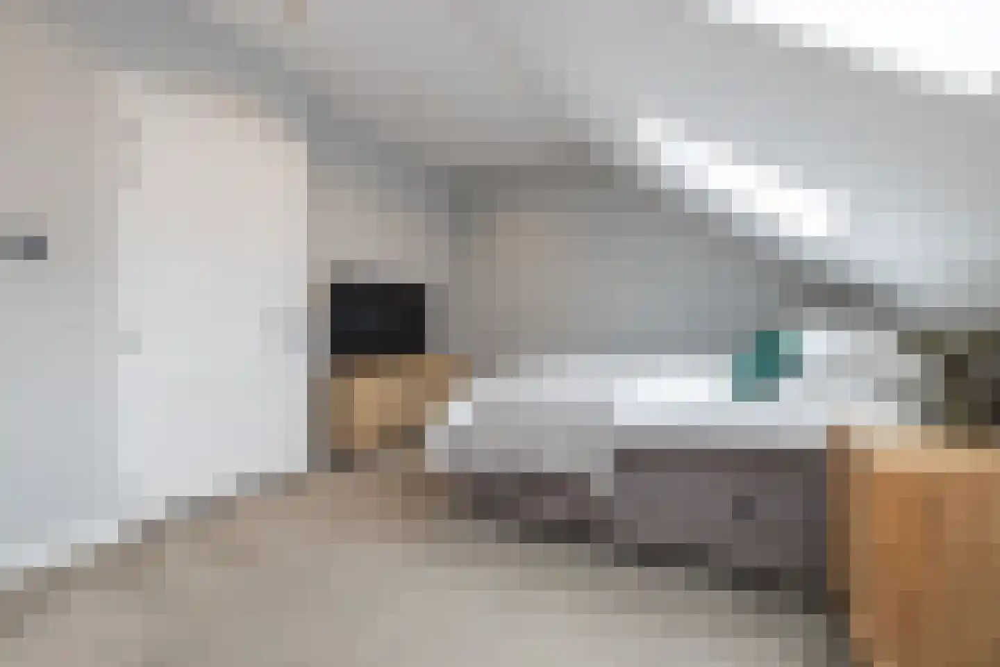 Duin en Dal 39 Noordwijkerhout thumbnail 38