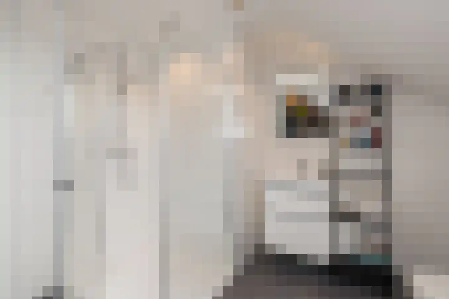 Duin en Dal 39 Noordwijkerhout thumbnail 42