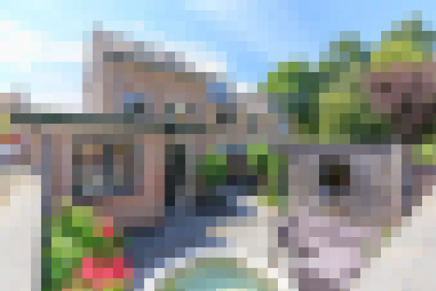 Duin en Dal 39 Noordwijkerhout thumbnail 45