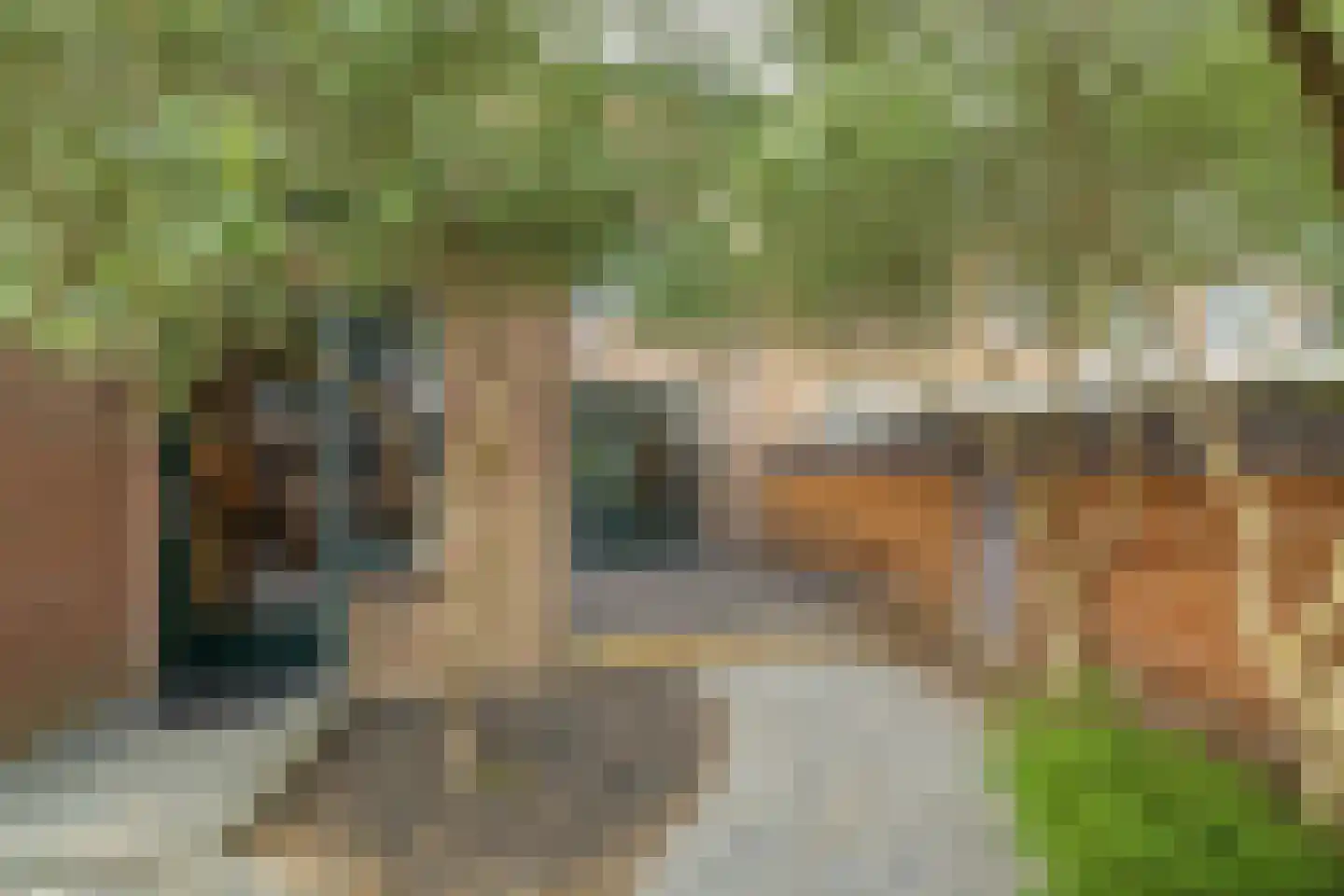 Duin en Dal 39 Noordwijkerhout thumbnail 52