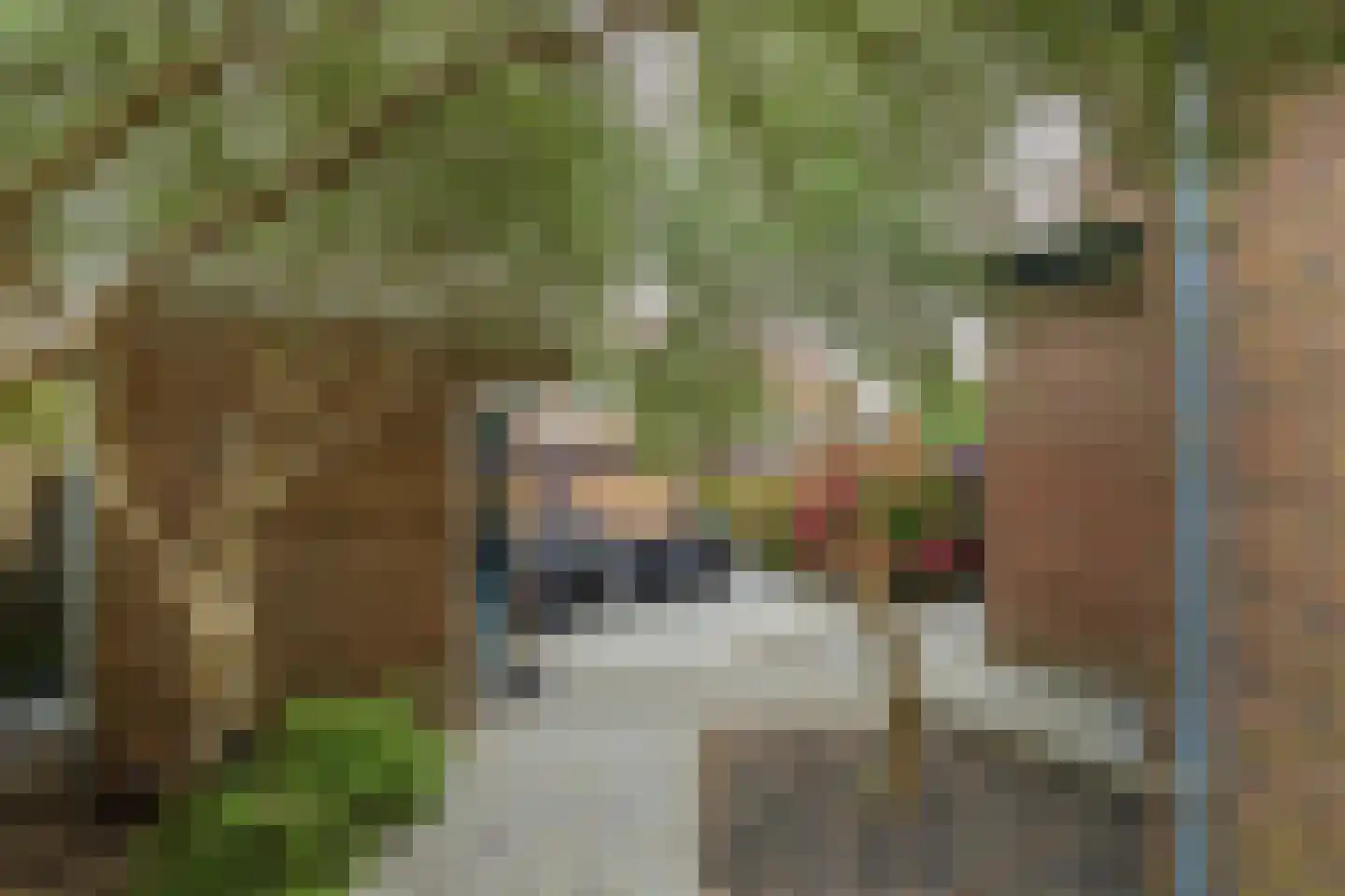 Duin en Dal 39 Noordwijkerhout thumbnail 53