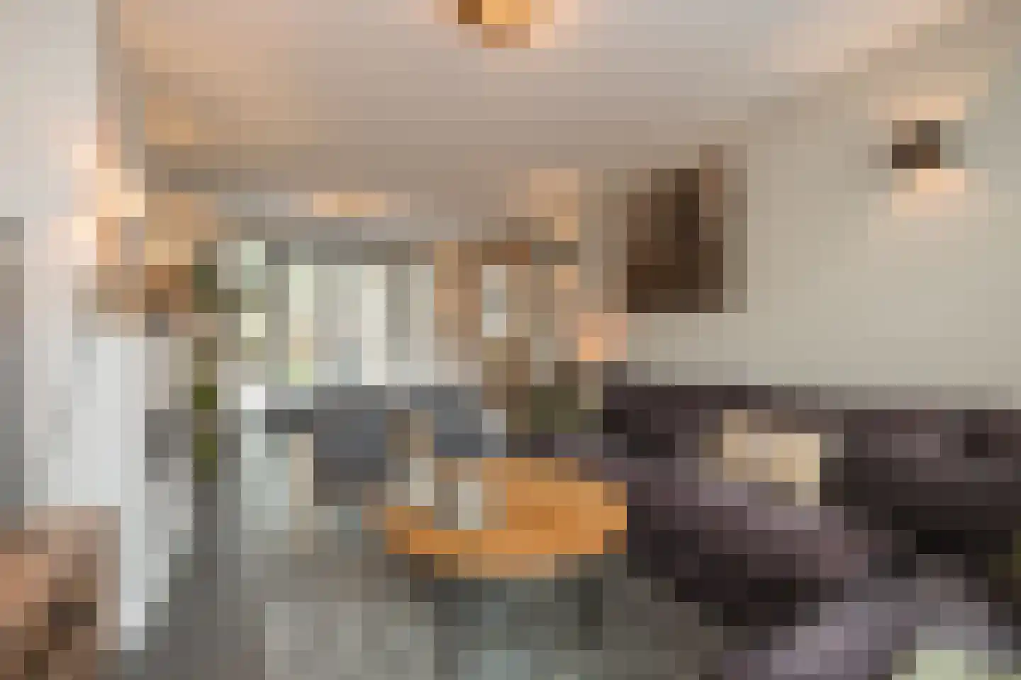 Duin en Dal 39 Noordwijkerhout thumbnail 8