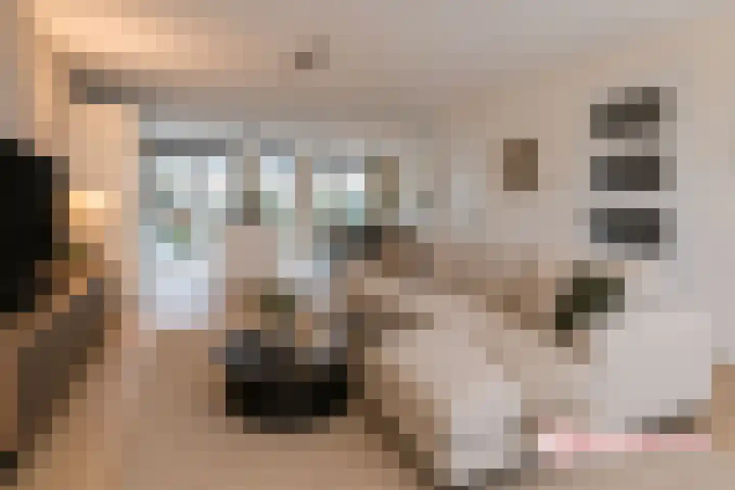 Duin en Kruidberg 18 Rijswijk thumbnail 10