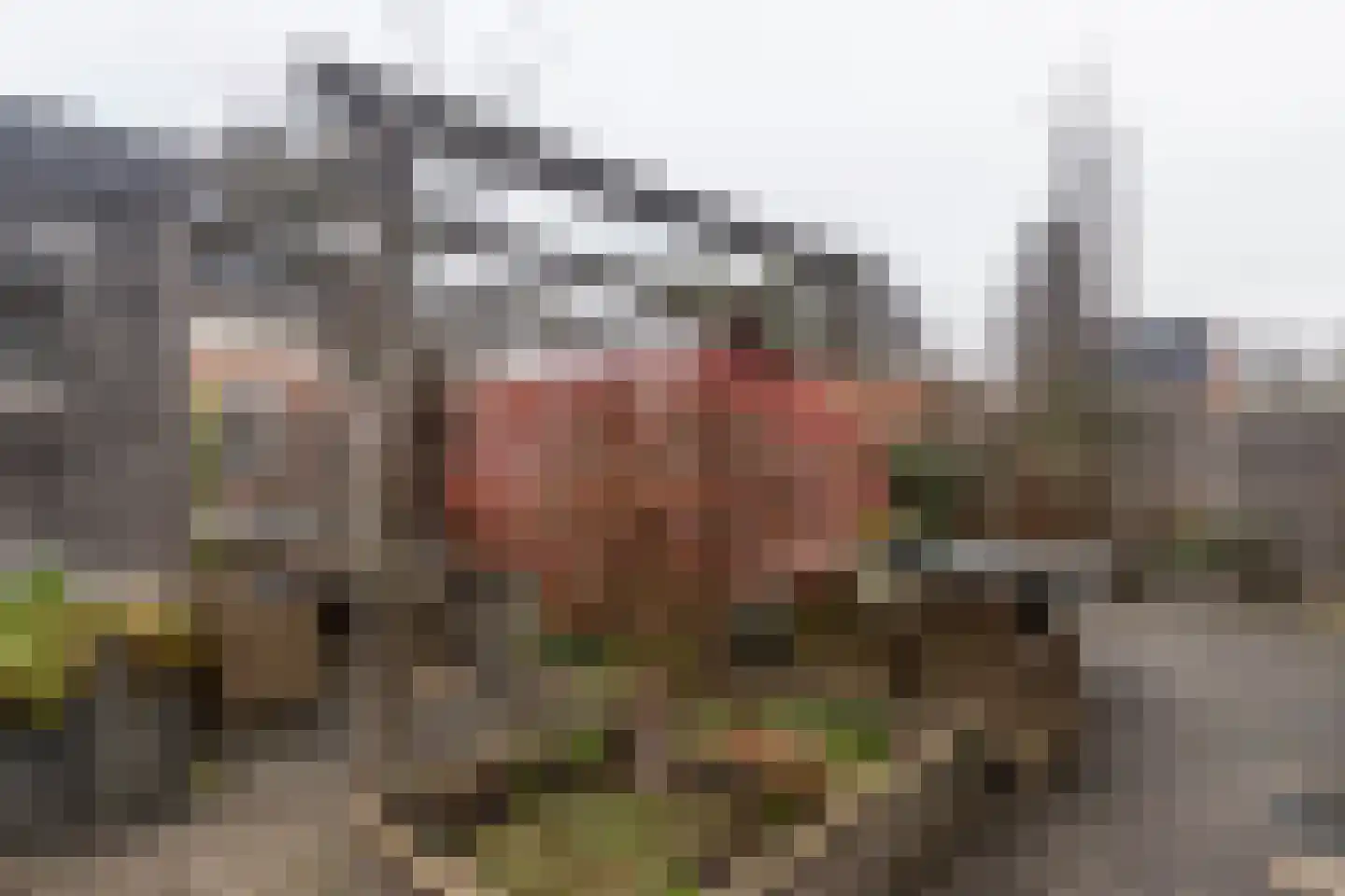 Duin en Kruidberg 18 Rijswijk thumbnail 21