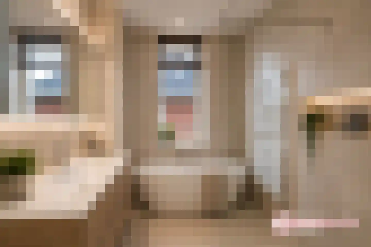 Duin en Kruidberg 18 Rijswijk thumbnail 31