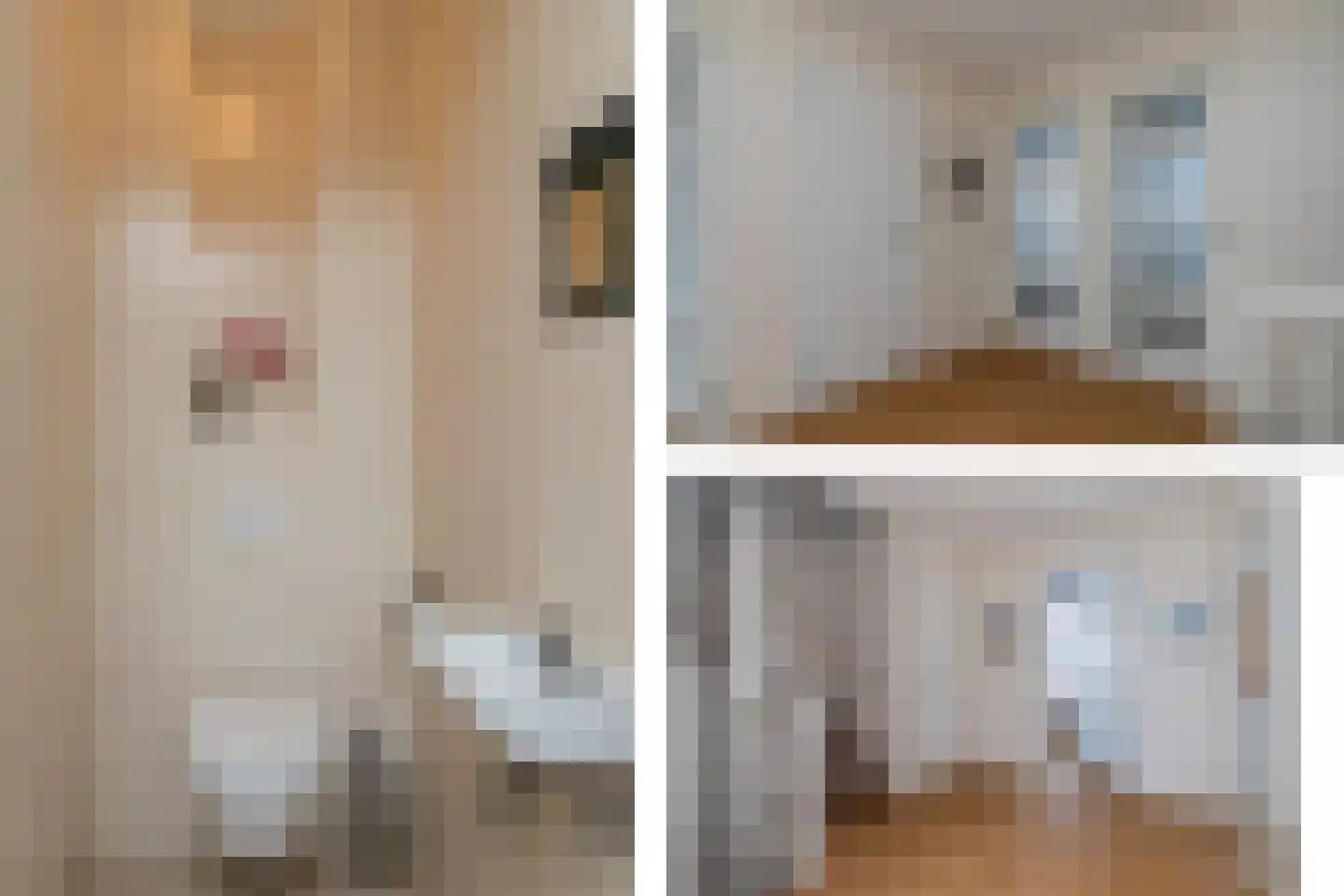 Duin en Kruidberg 18 Rijswijk thumbnail 34