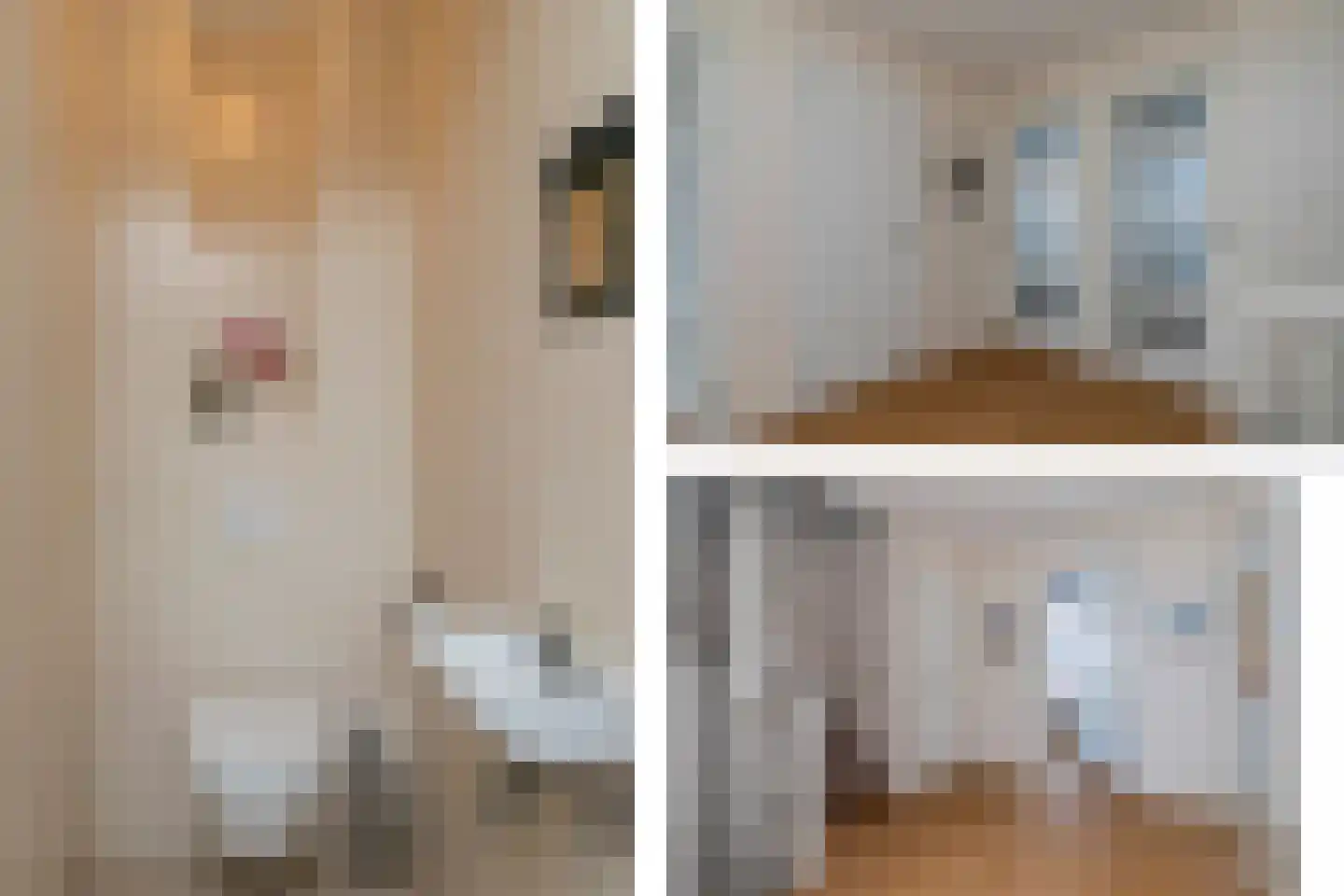 Duin en Kruidberg 18 Rijswijk thumbnail 34
