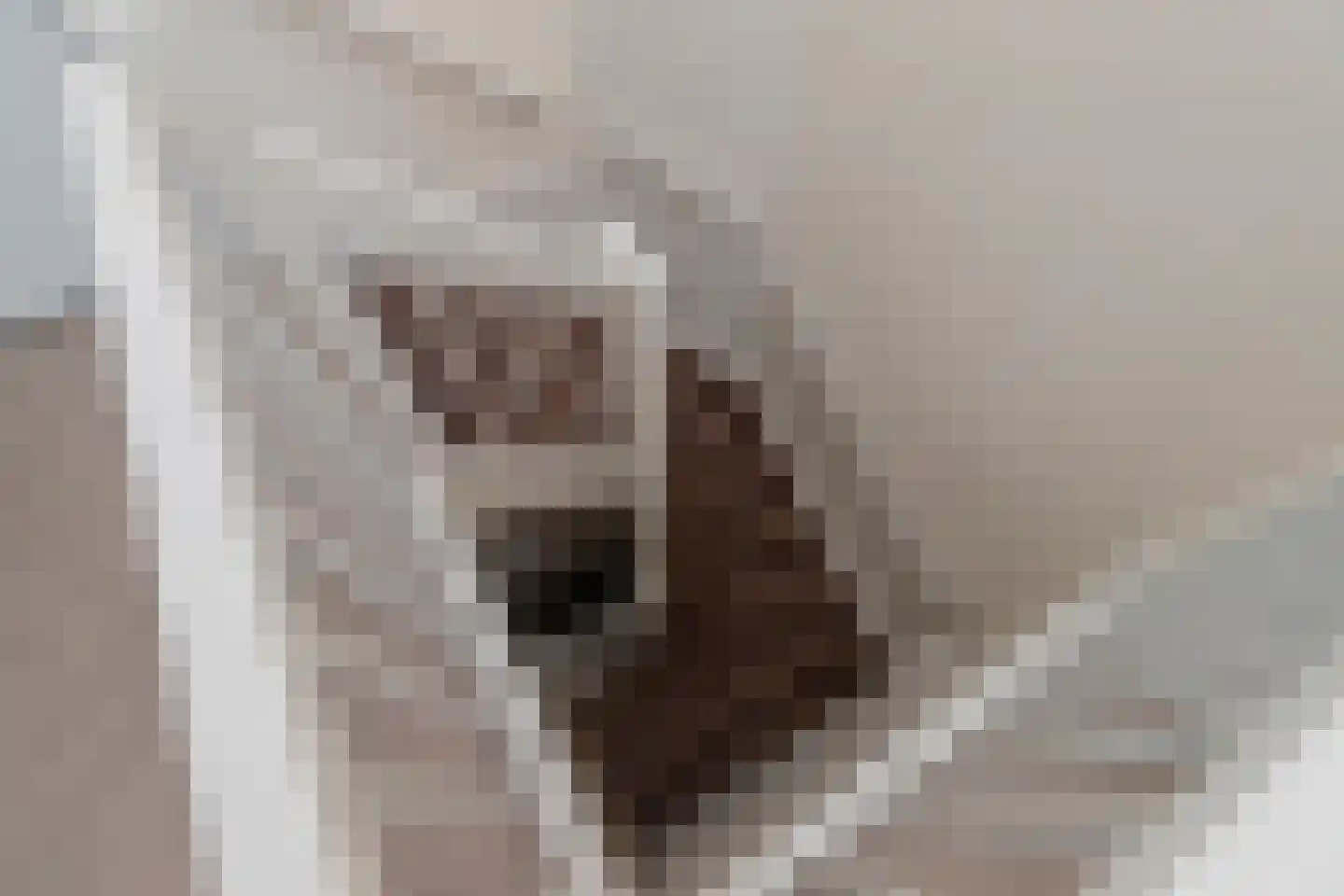 Duin en Kruidberg 18 Rijswijk thumbnail 38