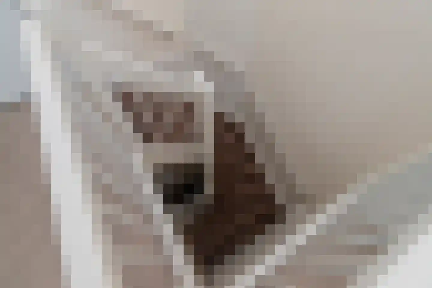 Duin en Kruidberg 18 Rijswijk thumbnail 39