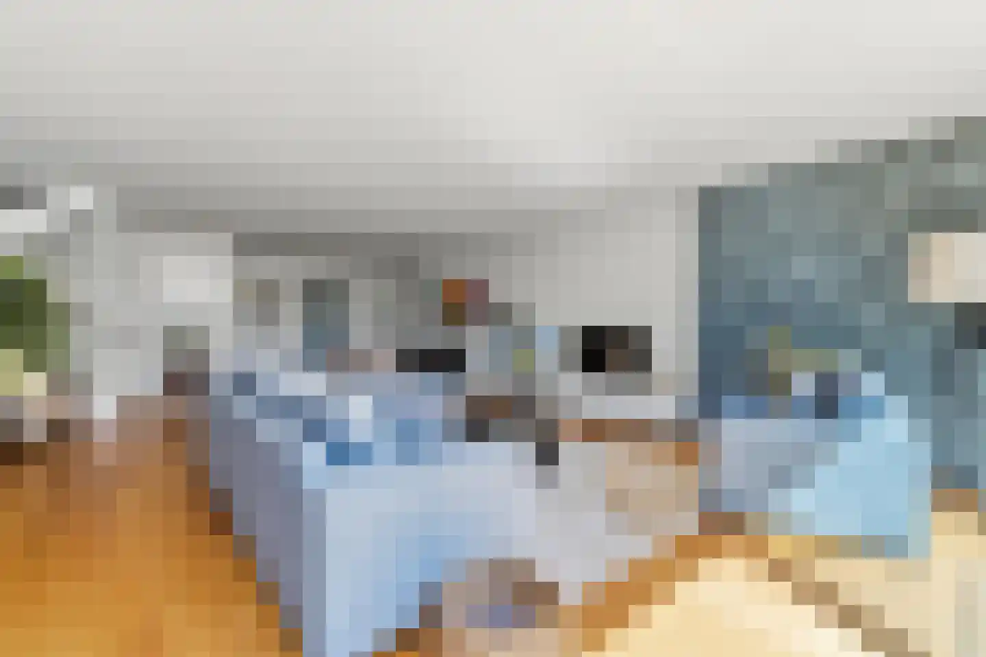 Duin en Kruidberg 2 Amstelveen thumbnail 29