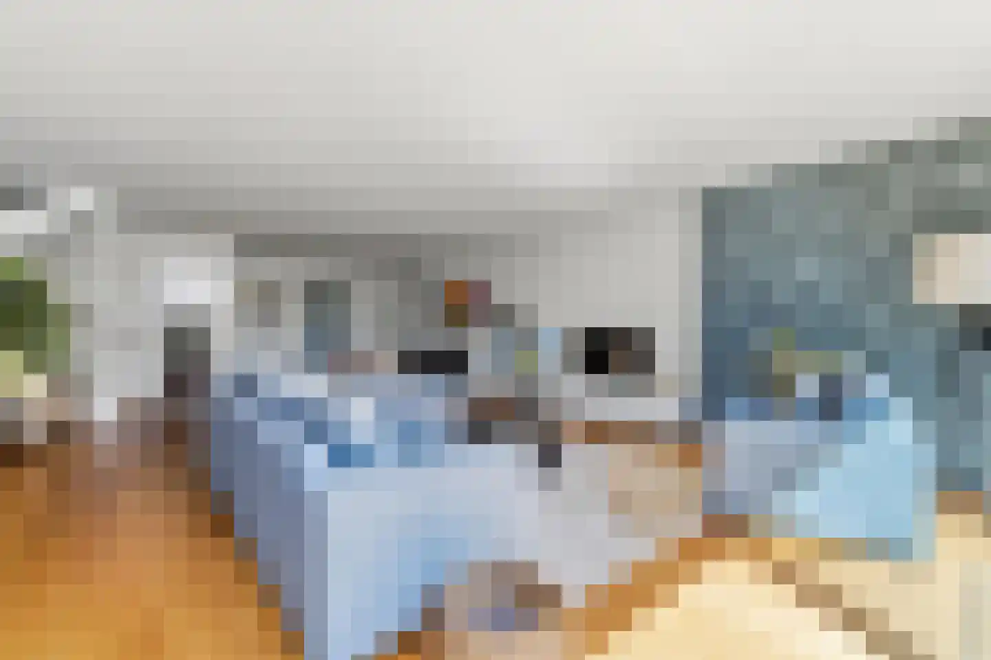 Duin en Kruidberg 2 Amstelveen thumbnail 29