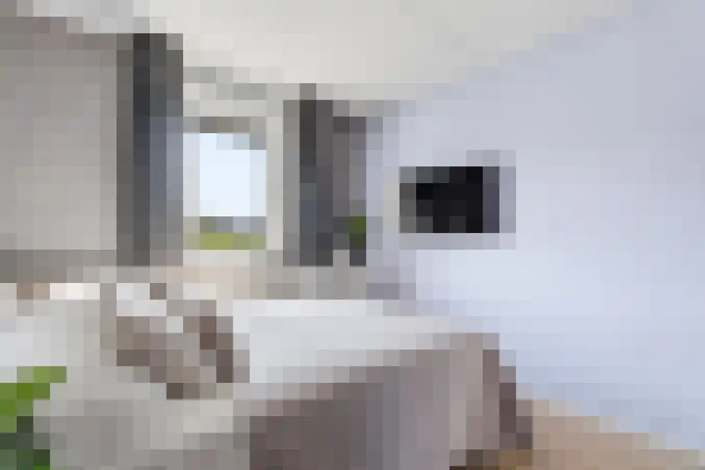 Duin en Kruidberg 2 Amstelveen thumbnail 47