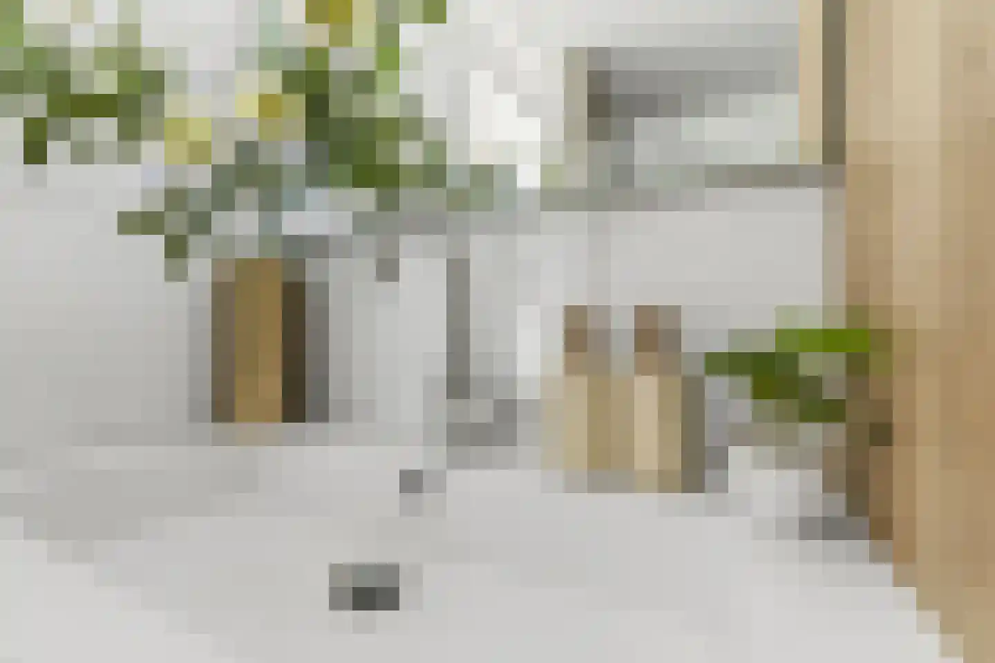 Duin en Kruidberg 2 Amstelveen thumbnail 55