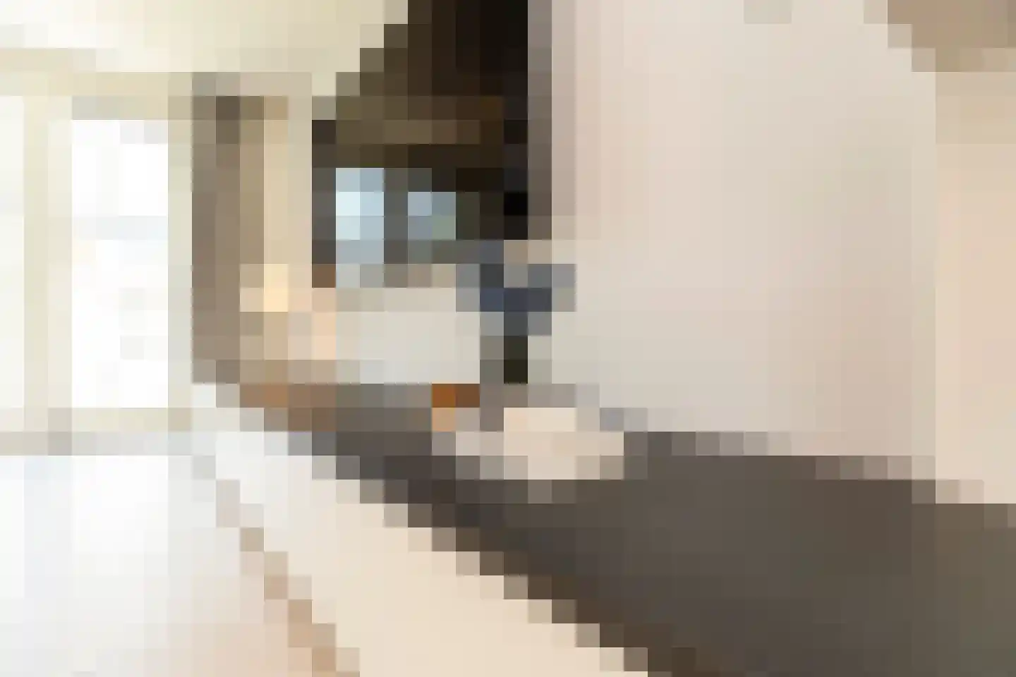Duin en Kruidberg 20 Rijswijk thumbnail 15
