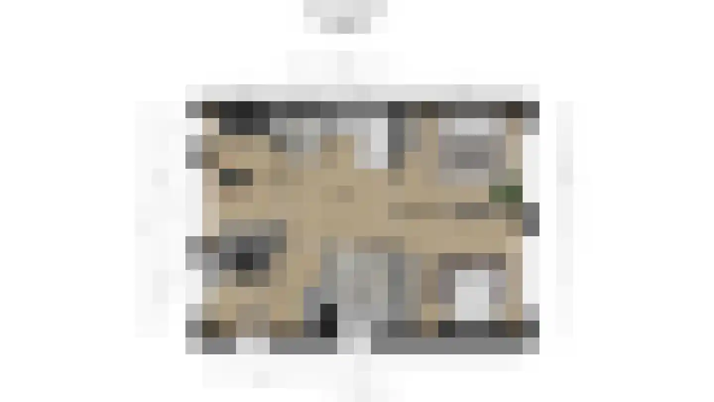 Duin en Kruidberg 20 Rijswijk thumbnail 60