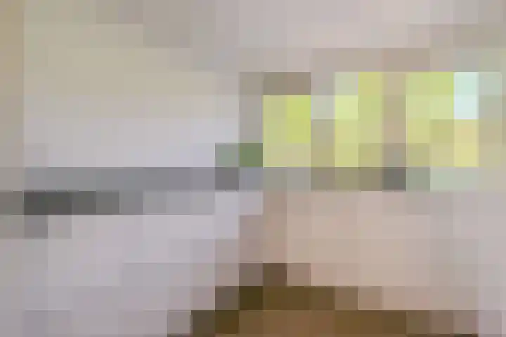 Duin en Kruidberg 23 Amstelveen thumbnail 13