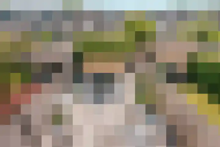 Duin en Kruidberg 23 Amstelveen thumbnail 24