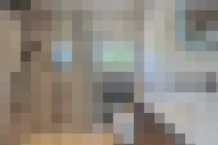 Duin en Kruidberg 23 Amstelveen thumbnail 28