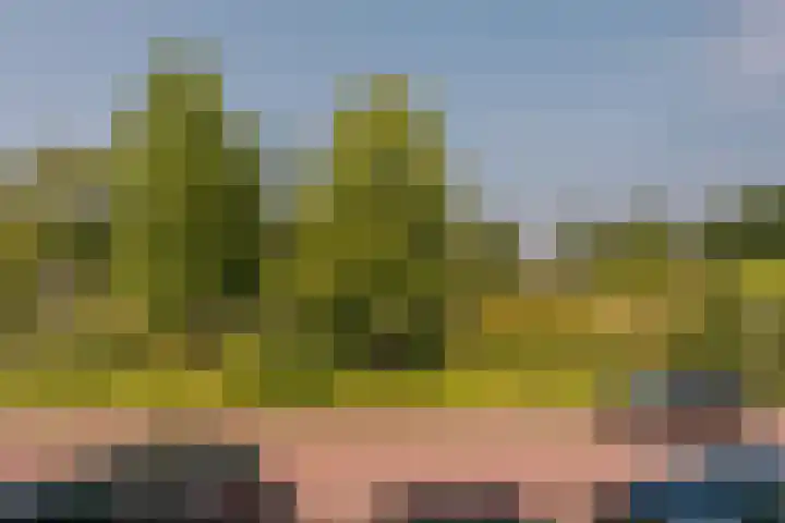 Duin en Kruidberg 23 Amstelveen thumbnail 40