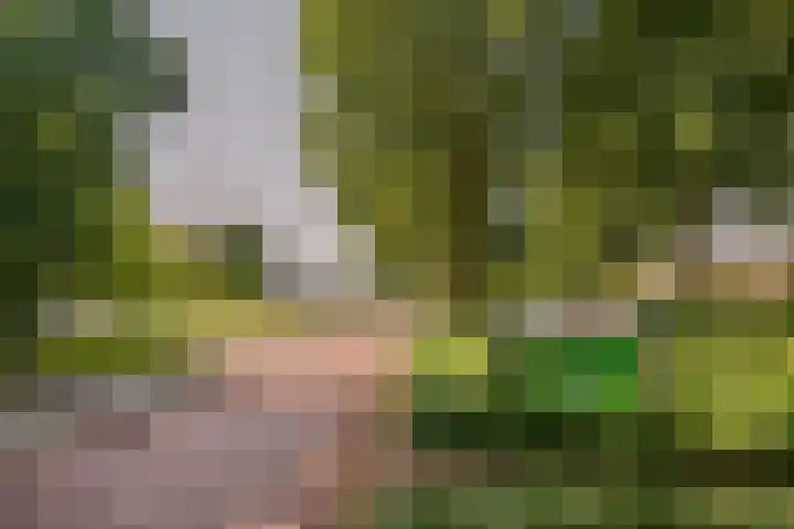 Duin en Kruidberg 23 Amstelveen thumbnail 41