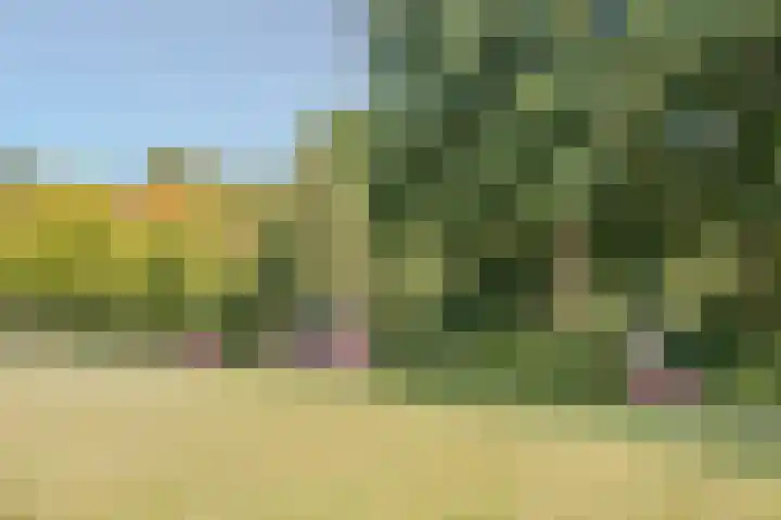 Duin en Kruidberg 23 Amstelveen thumbnail 43