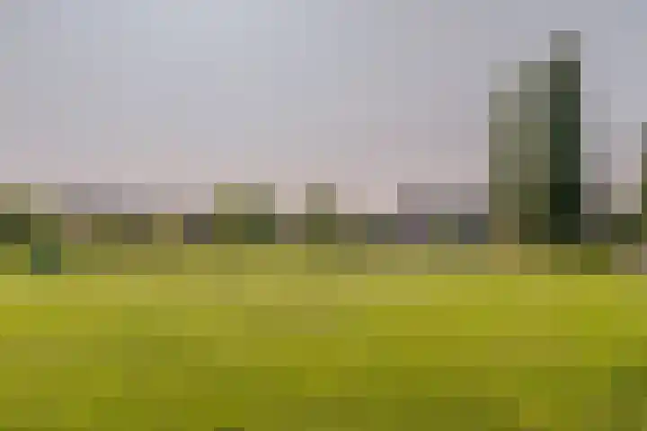 Duin en Kruidberg 23 Amstelveen thumbnail 45