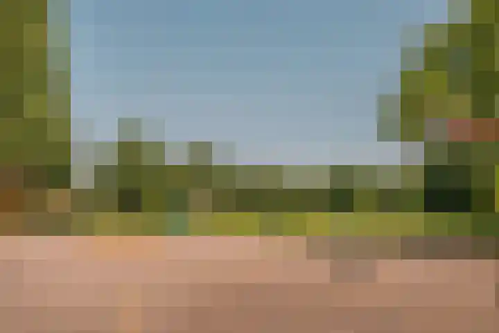 Duin en Kruidberg 23 Amstelveen thumbnail 47
