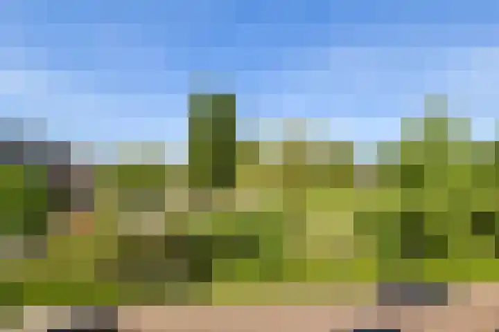 Duin en Kruidberg 27 Amstelveen thumbnail 21