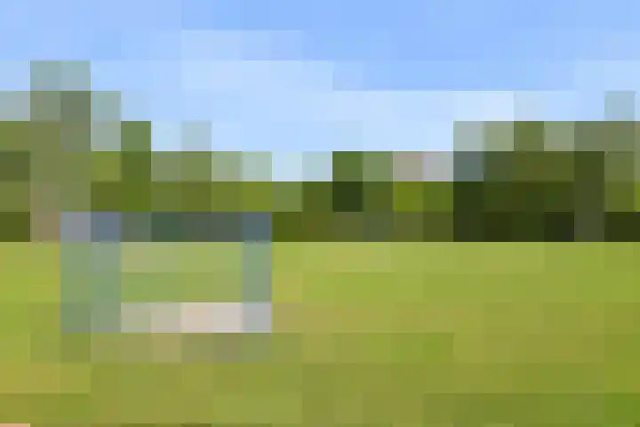 Duin en Kruidberg 27 Amstelveen thumbnail 23
