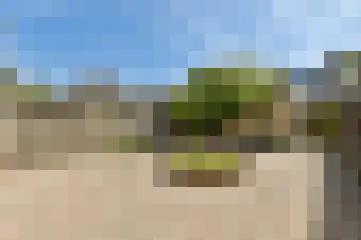Duin en Kruidberg 27 Amstelveen thumbnail 6