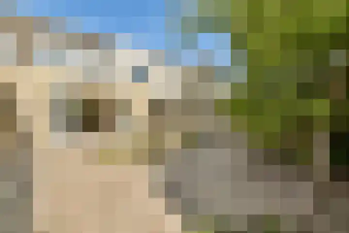 Duin en Kruidberg 27 Amstelveen thumbnail 7