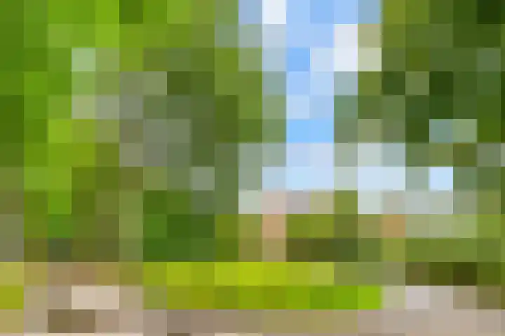 Duin- en Kruidbergerweg 73 Santpoort-Noord thumbnail 5