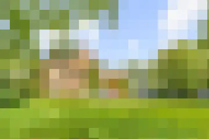 Duin- en Kruidbergerweg 73 Santpoort-Noord thumbnail 6
