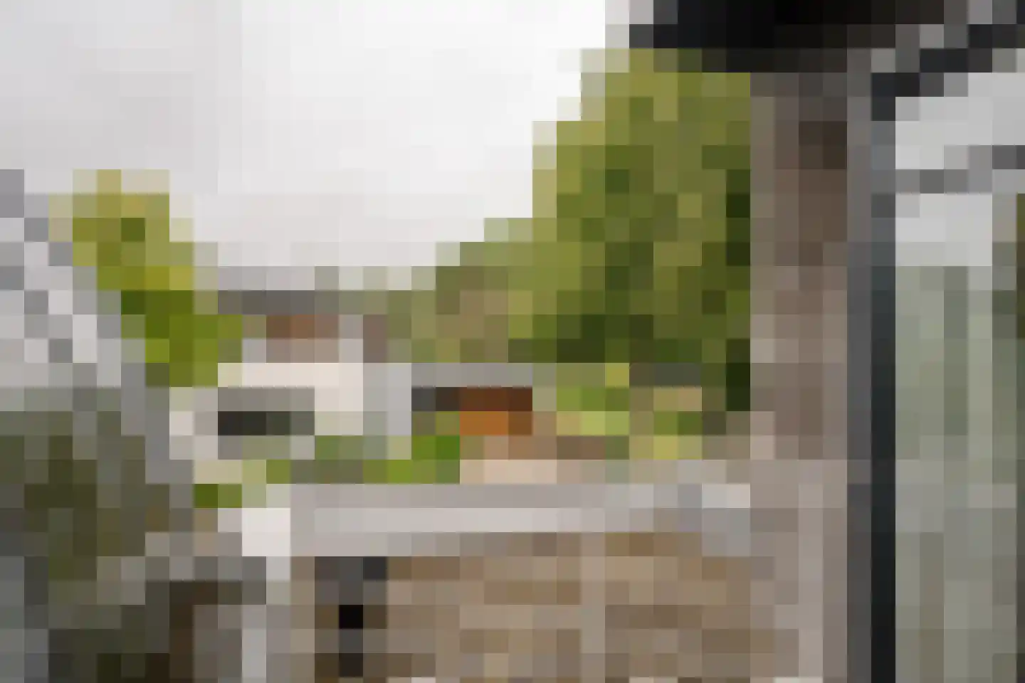 Duin en Vaart 19 Heemstede thumbnail 30