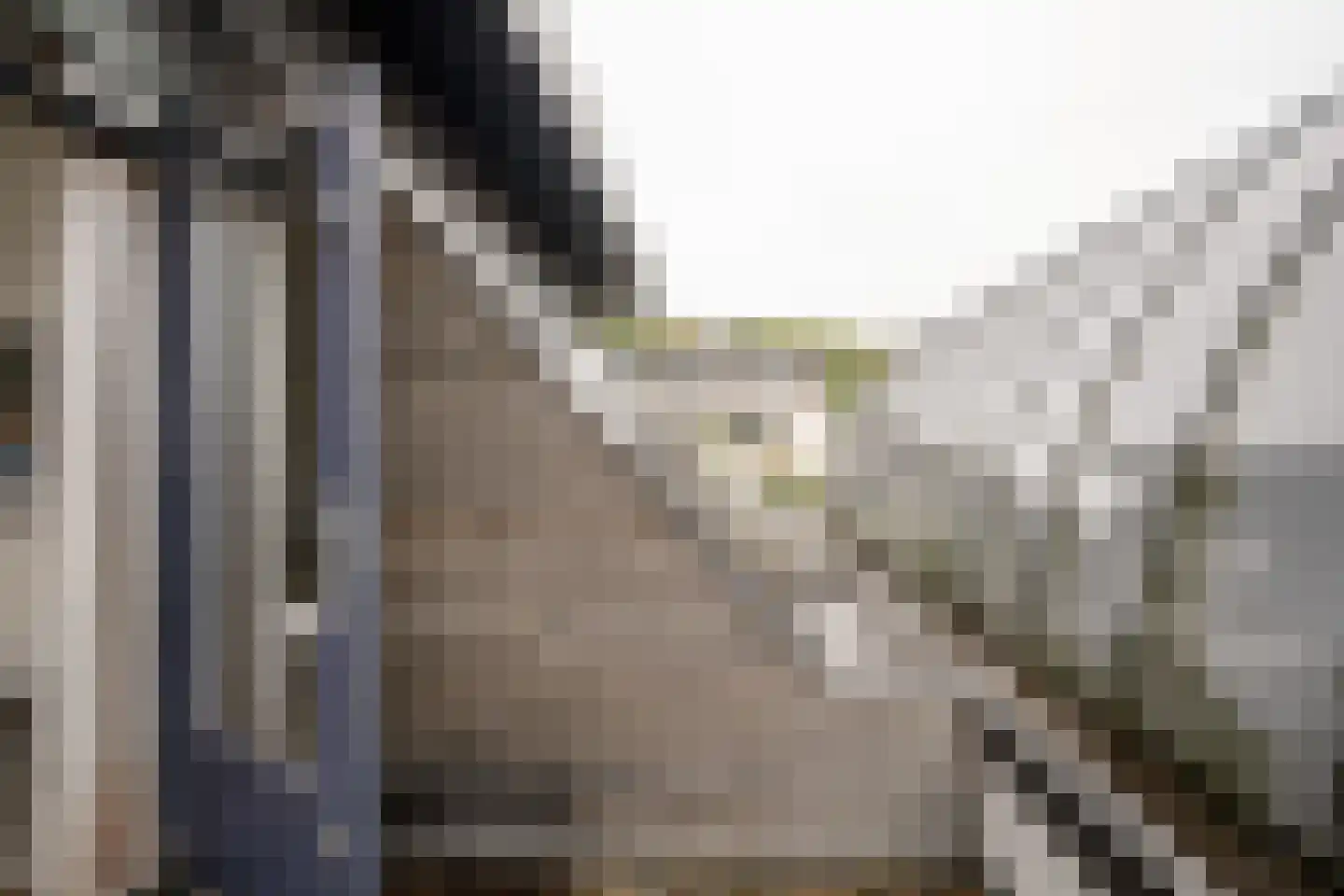 Duin en Vaart 19 Heemstede thumbnail 31