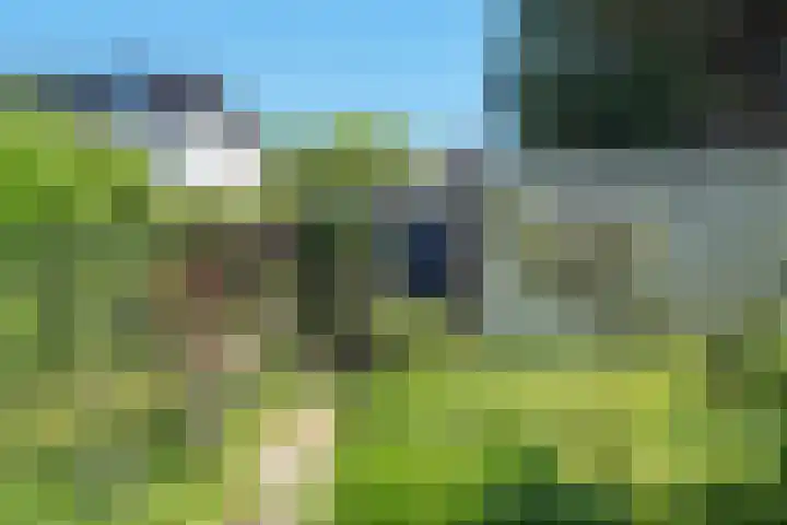 Duin en Vaart 23 Heemstede thumbnail 26