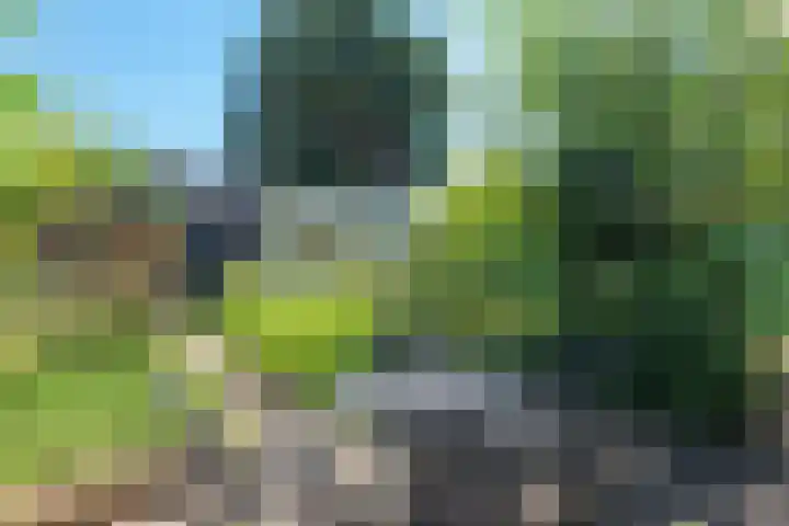 Duin en Vaart 23 Heemstede thumbnail 27