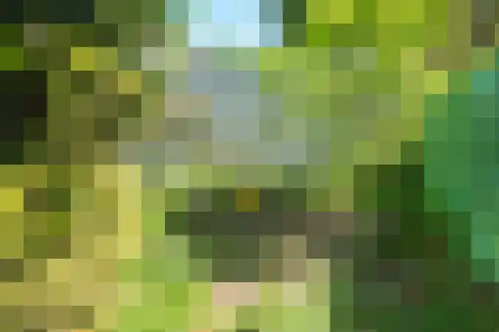 Duin en Vaart 23 Heemstede thumbnail 32