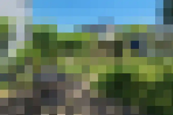 Duin en Vaart 23 Heemstede thumbnail 33