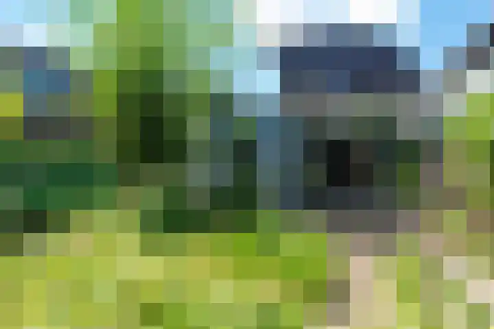 Duin en Vaart 23 Heemstede thumbnail 34
