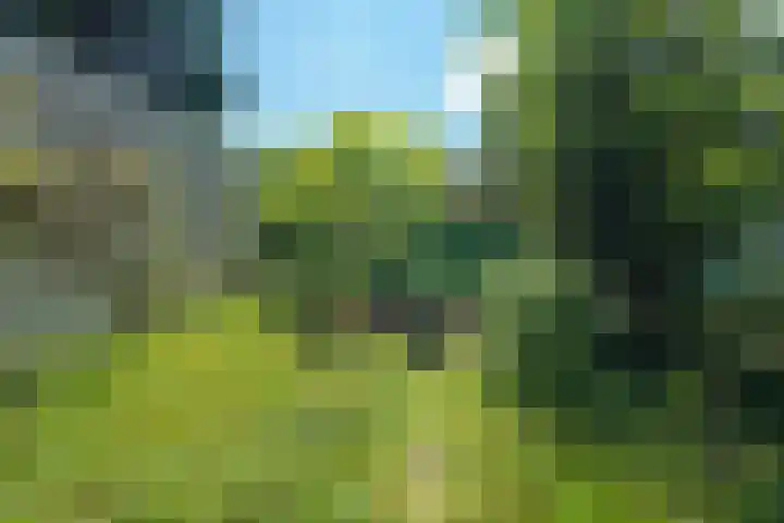 Duin en Vaart 23 Heemstede thumbnail 35