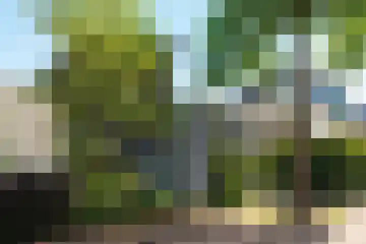 Duin en Vaart 23 Heemstede thumbnail 51