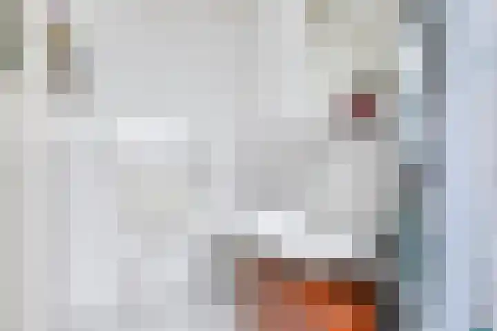 Duinakker 10 Ouddorp thumbnail 14