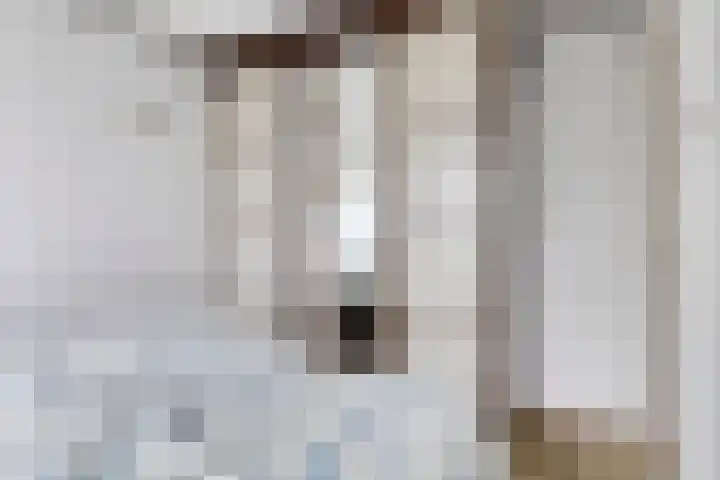 Duinakker 10 Ouddorp thumbnail 17