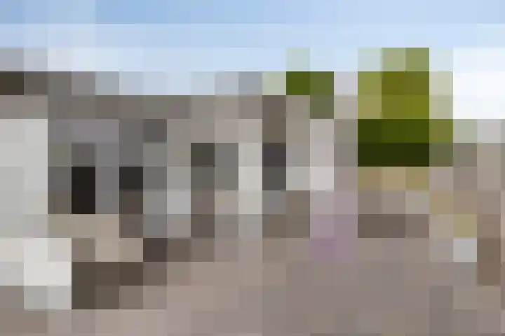 Duinakker 10 Ouddorp thumbnail 19