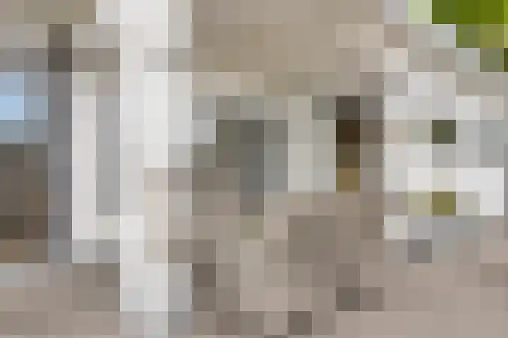Duinakker 10 Ouddorp thumbnail 21