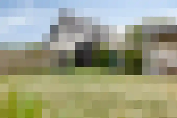 Duinakker 10 Ouddorp thumbnail 22