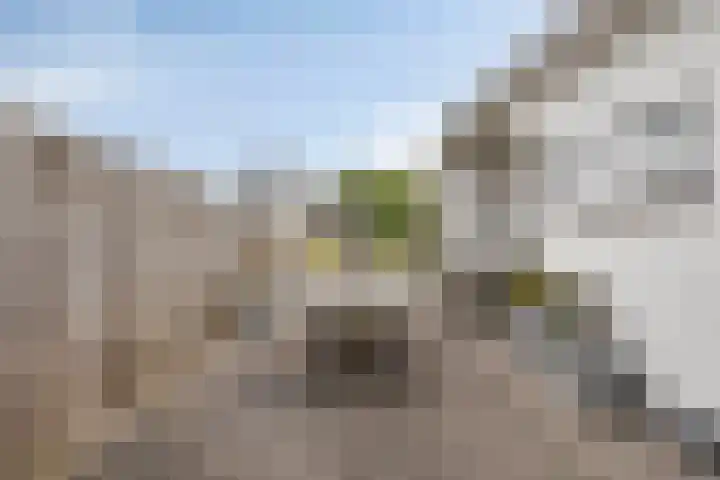 Duinakker 10 Ouddorp thumbnail 23