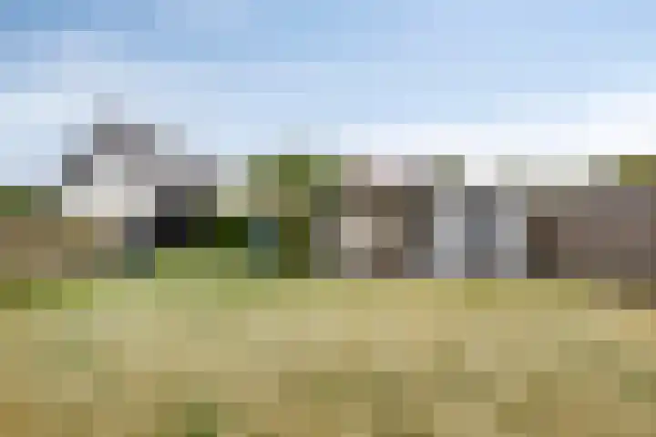 Duinakker 10 Ouddorp thumbnail 24
