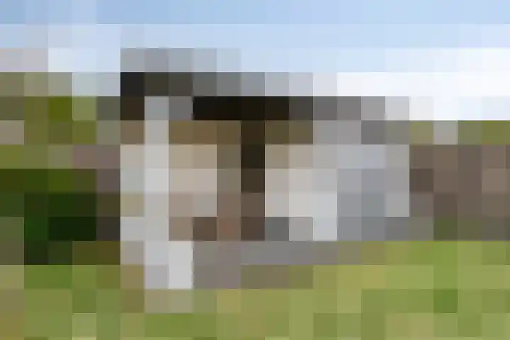 Duinakker 10 Ouddorp thumbnail 25